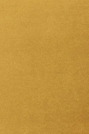 Ковровое покрытие AW Oinone 54 - (5м) в Краснодаре