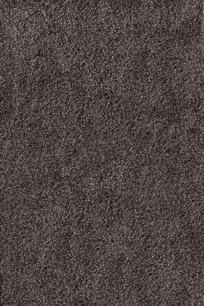 Ковровое покрытие AW Messalina 44 - (4м) в Краснодаре