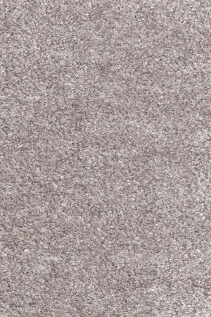 Ковровое покрытие AW Euphoria 16 - (5м) в Краснодаре