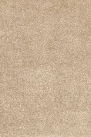 Ковровое покрытие AW Omphale 37 - (5м) в Краснодаре