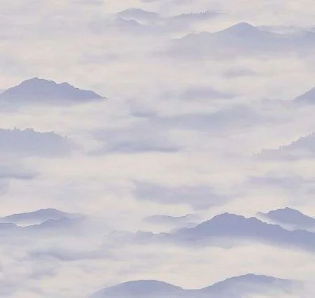 Обои Loymina Clair CLR4, 006 в Краснодаре