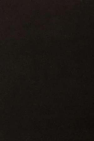 Ковровое покрытие AW Oinone 99 - (4м) в Краснодаре