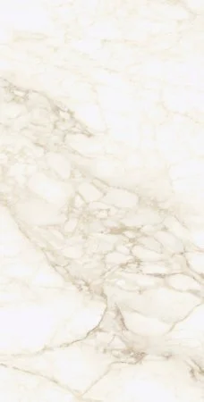 Керамогранит Coliseum Микеланджело Ворм 60х120 (Натуральный и Реттифицированный) в Краснодаре