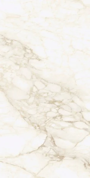 Керамогранит Coliseum Микеланджело Ворм 60х120 (Натуральный и Реттифицированный) в Краснодаре