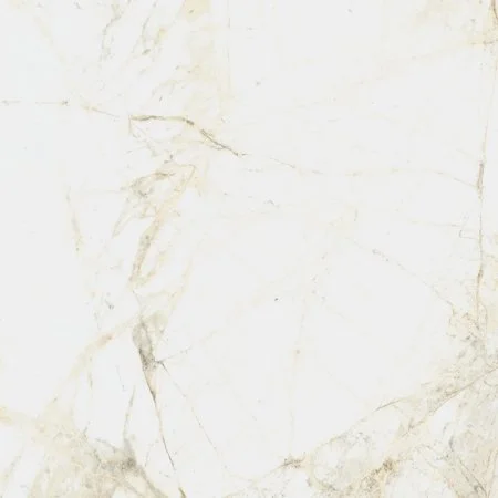 Керамогранит Coliseum Канова Уайт 60х60 (Натуральный и Реттифицированный) в Краснодаре
