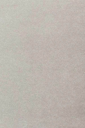 Ковровое покрытие AW Oinone 92 - (5м) в Краснодаре