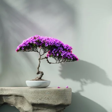 Обои Loymina Lotus LOT1 112 в Краснодаре