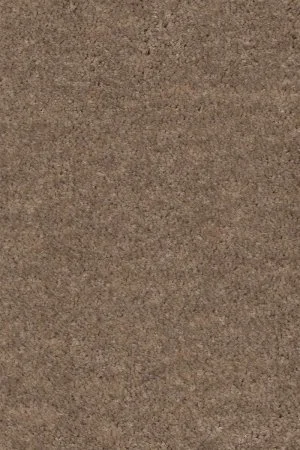 Ковровое покрытие AW Euphoria 36 - (4м) в Краснодаре