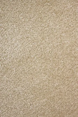 Ковровое покрытие AW Euphoria 33 - (5м) в Краснодаре