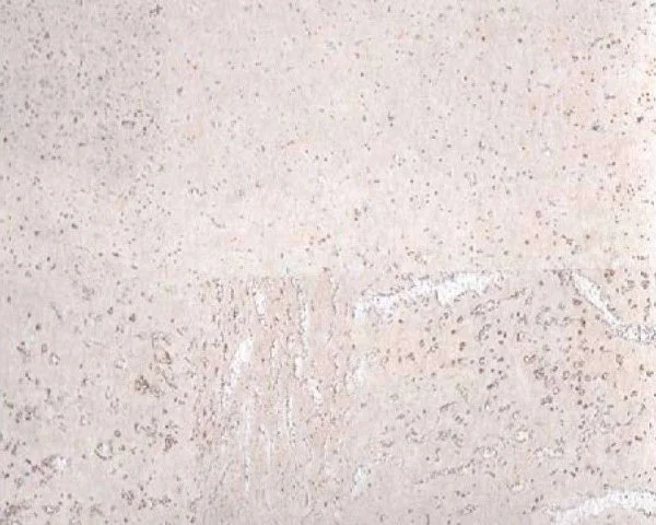 Настенное пробковое покрытие CorkArt PW 386 WS в Краснодаре