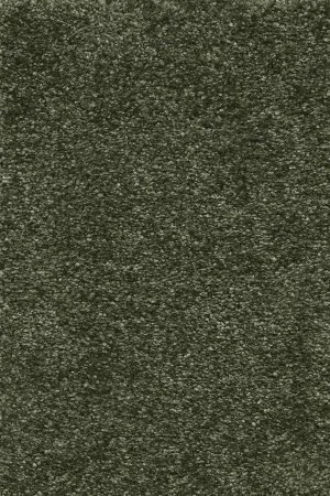 Ковровое покрытие AW Certosa 24 - (5м) в Краснодаре