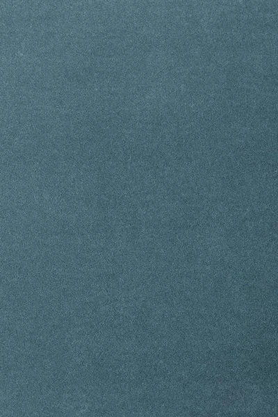 Ковровое покрытие AW Oinone 74 - (5м) в Краснодаре