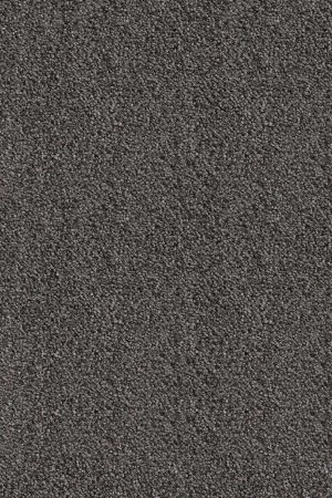 Ковровое покрытие AW Messalina 99 - (5м) в Краснодаре