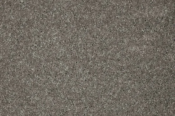 Ковровое покрытие AW Gala 94 - (5м) в Краснодаре