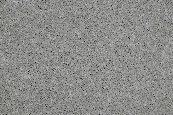 Ковровое покрытие AW Gala 90 - (4м) в Краснодаре