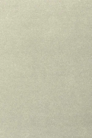 Ковровое покрытие AW Oinone 02 - (4м) в Краснодаре