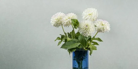 Обои Loymina Shade vol.2 SDR5, 001 в Краснодаре