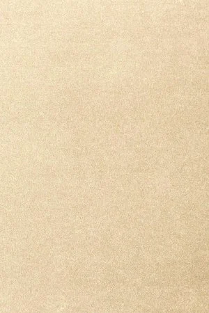 Ковровое покрытие AW Oinone 33 - (4м) в Краснодаре