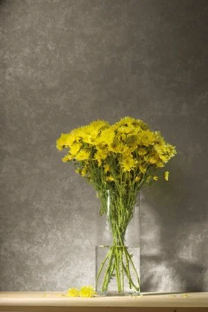 Обои Loymina Golden Library TDG 7, 008 в Краснодаре