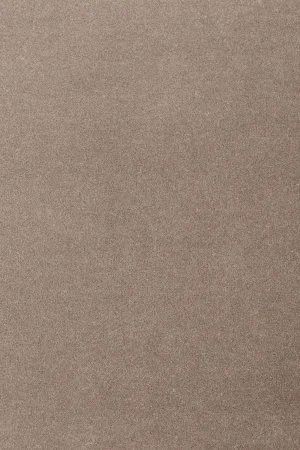 Ковровое покрытие AW Oinone 49 - (5м) в Краснодаре