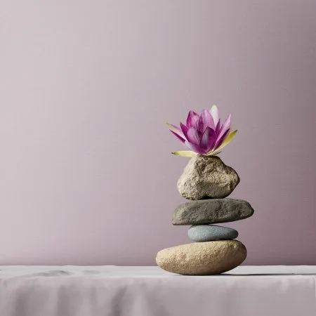 Обои Loymina Textile TXL3 007 в Краснодаре