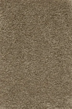 Ковровое покрытие AW Certosa 35 - (4м) в Краснодаре