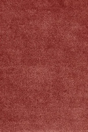 Ковровое покрытие AW Omphale 10 - (5м) в Краснодаре