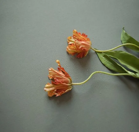 Обои Loymina Russian Classic Ru10, 006 в Краснодаре