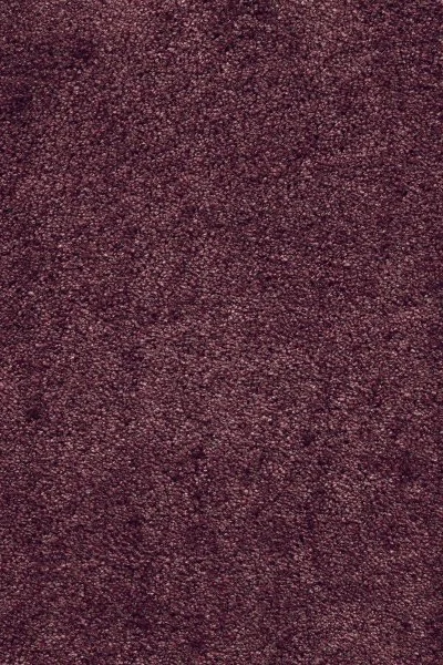 Ковровое покрытие AW Fedone 19 - (5м) в Краснодаре