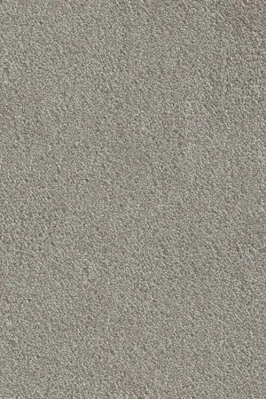 Ковровое покрытие AW Messalina 9 - (4м) в Краснодаре