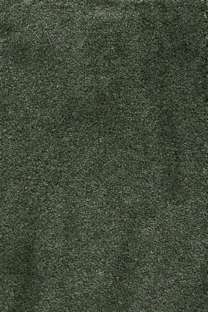 Ковровое покрытие AW Fedone 24 - (5м) в Краснодаре