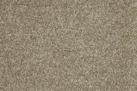 Ковровое покрытие AW Gala 33 - (4м) в Краснодаре