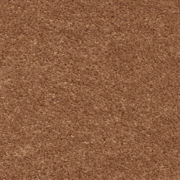 Ковровое покрытие AW Euphoria 84 - (5м) в Краснодаре