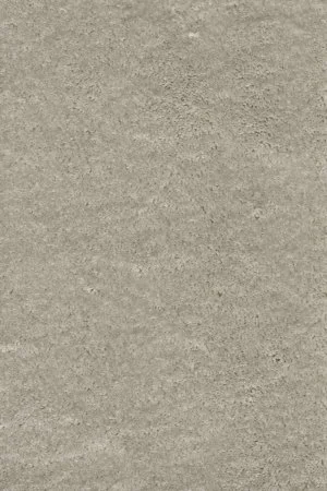 Ковровое покрытие AW Fedone 90 - (5м) в Краснодаре