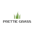 Искусственная трава Prettie Grass купить в Краснодаре по выгодной цене Искусственная трава Prettie Grass в Краснодаре