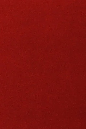 Ковровое покрытие AW Oinone 10 - (4м) в Краснодаре