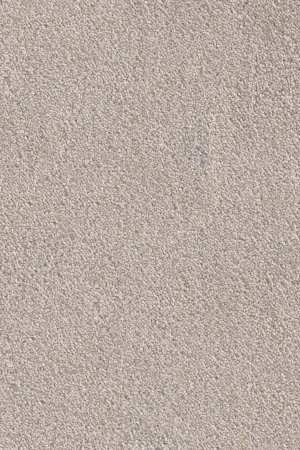 Ковровое покрытие AW Messalina 37 - (4м) в Краснодаре