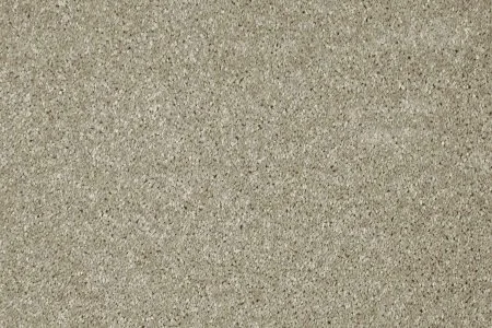 Ковровое покрытие AW Gala 03 - (5м) в Краснодаре