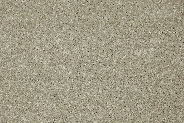 Ковровое покрытие AW Gala 03 - (4м) в Краснодаре