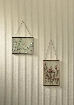 Обои Loymina Shade SD5, 002/1 в Краснодаре