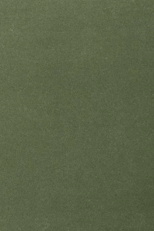 Ковровое покрытие AW Oinone 24 - (5м) в Краснодаре