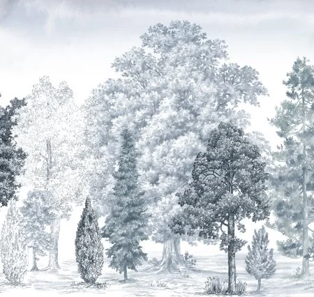 Обои Loymina Пейзаж vol. 2 ART14 006 в Краснодаре