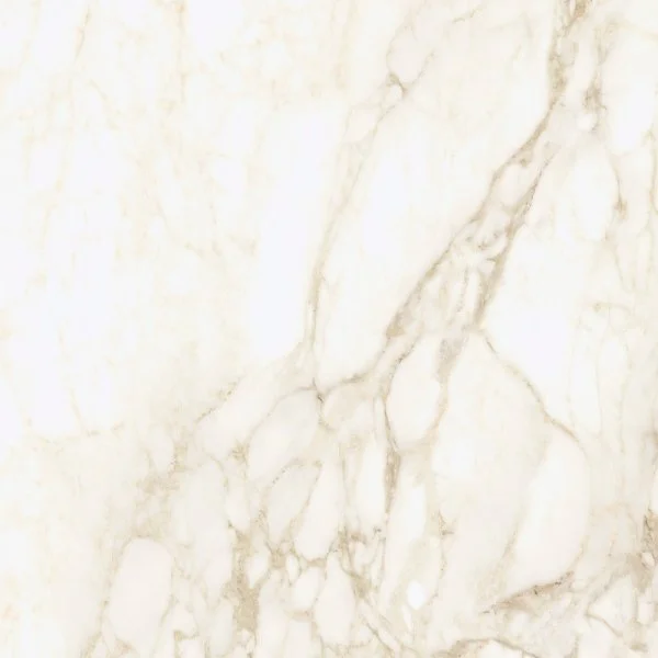 Керамогранит Coliseum Микеланджело Ворм 60х60 (Натуральный и Реттифицированный) в Краснодаре