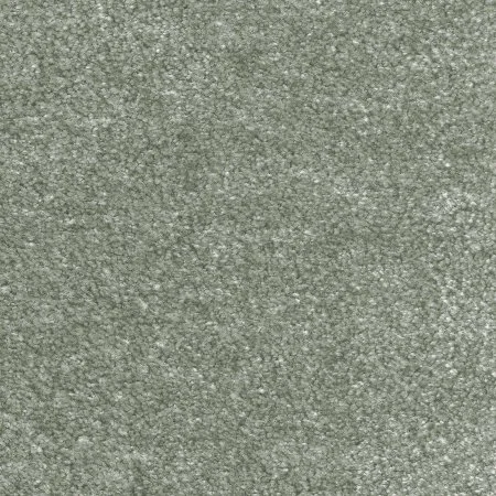 Ковровое покрытие AW Euphoria 28 - (5м) в Краснодаре