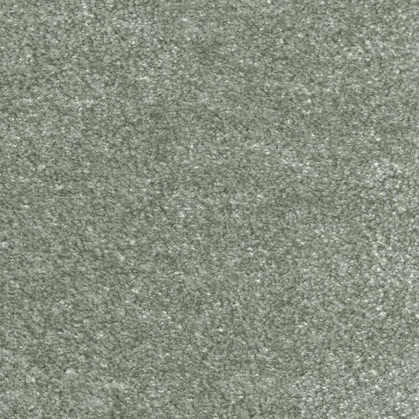 Ковровое покрытие AW Euphoria 28 - (5м) в Краснодаре