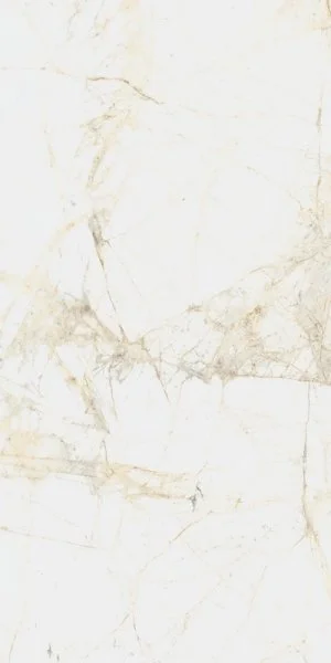 Керамогранит Coliseum Канова Уайт 60х120 (Натуральный и Реттифицированный) в Краснодаре