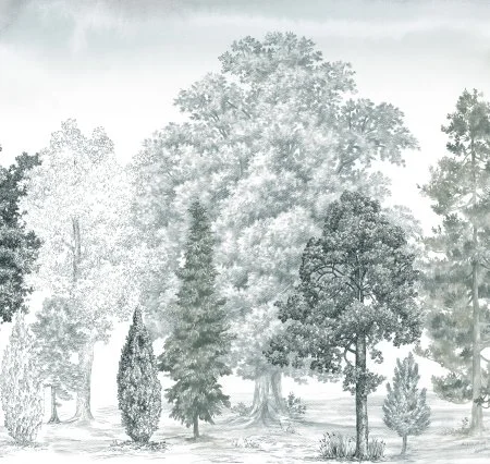 Обои Loymina Пейзаж vol. 2 ART14 011 в Краснодаре