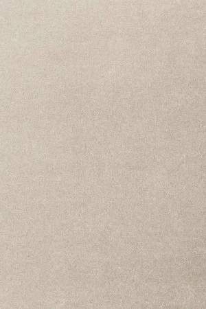 Ковровое покрытие AW Oinone 39 - (5м) в Краснодаре