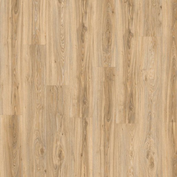 LVT-плитка Moduleo Roots Glue 0.55 Blackjack Oak 22220Q в #REGION_NAME_DECLINE_PP#